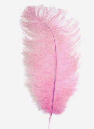 Ostrich Feather Plume - BABY PINK